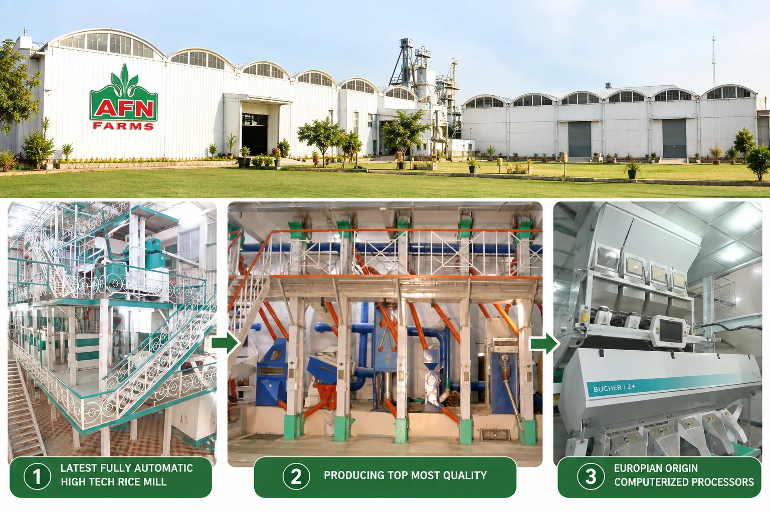 Rice processing
